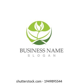 Logos of green Tree leaf ecology nature element vector