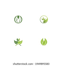 Logotipos de ecología de hoja de árbol verde elemento de naturaleza vector