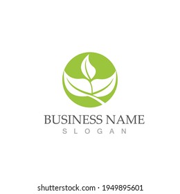 Logotipos de ecología de hoja de árbol verde elemento de naturaleza vector