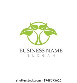 Logos of green Tree leaf ecology nature element vector