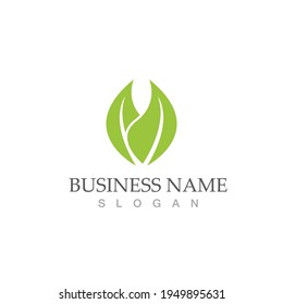 Logos of green Tree leaf ecology nature element vector