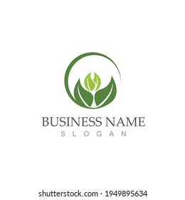 Logotipos de ecología de hoja de árbol verde elemento de naturaleza vector