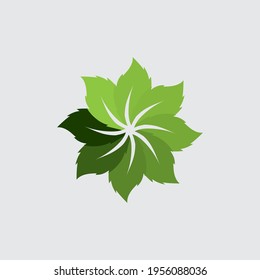 Logos of green Tree leaf ecology nature element vector icon