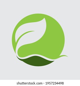 Logos of green Tree leaf ecology nature element vector