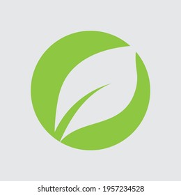 Logos of green Tree leaf ecology nature element vector