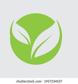 Logos of green Tree leaf ecology nature element vector