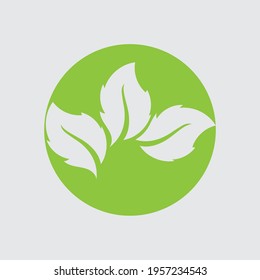 Logos of green Tree leaf ecology nature element vector