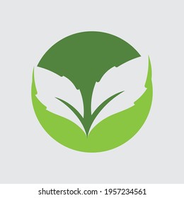Logos of green Tree leaf ecology nature element vector