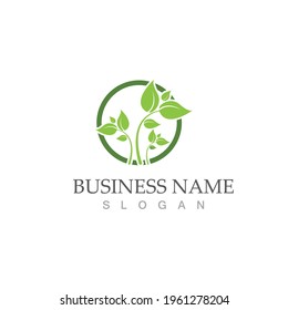 Logos von grünen Baumblätterökologie, Naturelement Vektorgrafik