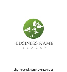 Logotipos de ecología de hoja de árbol verde elemento de naturaleza vector