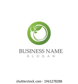 Logos of green Tree leaf ecology nature element vector