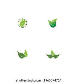 Logos of green Tree leaf ecology nature element vector