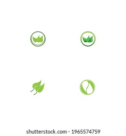 Logos of green Tree leaf ecology nature element vector