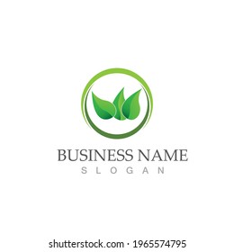 Logos of green Tree leaf ecology nature element vector