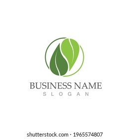 Logos of green Tree leaf ecology nature element vector
