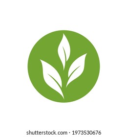 Logos of green Tree leaf ecology nature element vector