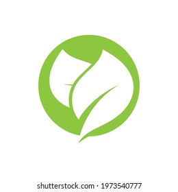Logos of green Tree leaf ecology nature element vector
