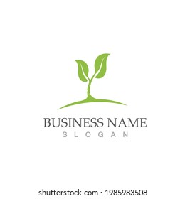 Logos of green Tree leaf ecology nature element vector