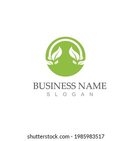 Logos of green Tree leaf ecology nature element vector