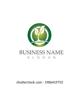 Logos of green Tree leaf ecology nature element vector