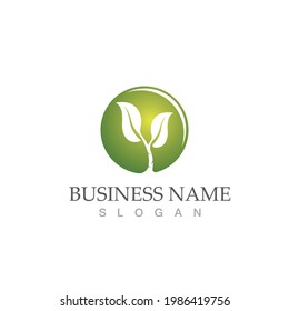 Logos of green Tree leaf ecology nature element vector