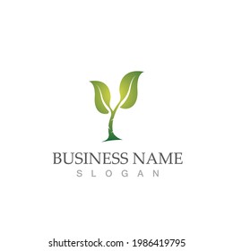 Logos of green Tree leaf ecology nature element vector