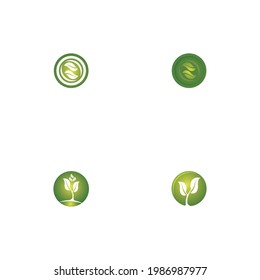 Logos of green Tree leaf ecology nature element vector