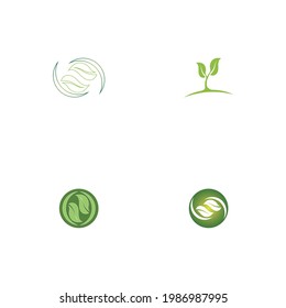 Logos of green Tree leaf ecology nature element vector