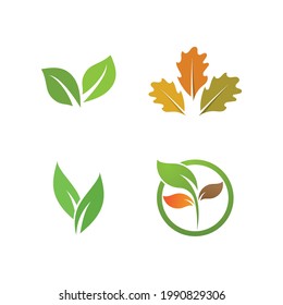 Logos of green Tree leaf ecology nature element vector