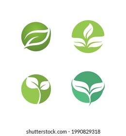 Logos of green Tree leaf ecology nature element vector