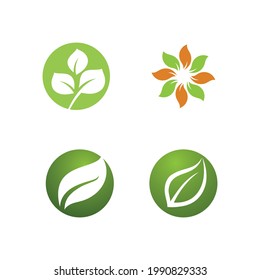 Logos of green Tree leaf ecology nature element vector