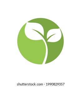 Logos of green Tree leaf ecology nature element vector