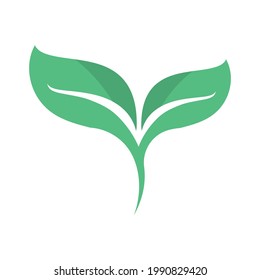 Logos of green Tree leaf ecology nature element vector