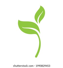 Logos of green Tree leaf ecology nature element vector
