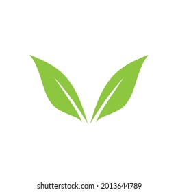 Logos of green Tree leaf ecology nature element vector