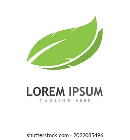 Logos of green Tree leaf ecology nature element vector