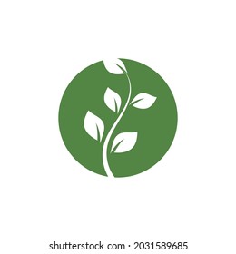Logos of green Tree leaf ecology nature element vector