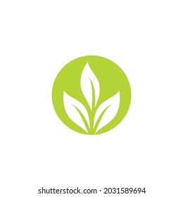 Logotipos de ecología de hoja de árbol verde elemento de naturaleza vector
