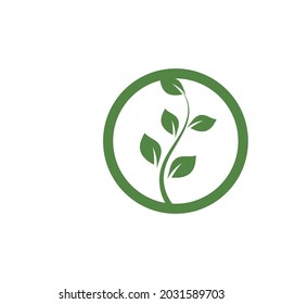 Logos of green Tree leaf ecology nature element vector