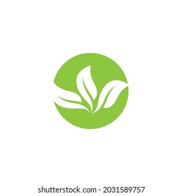 Logos of green Tree leaf ecology nature element vector