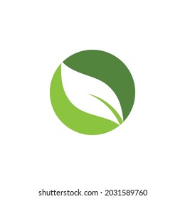 Logos of green Tree leaf ecology nature element vector