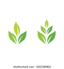 Logotipos de ecología de hoja de árbol verde elemento de naturaleza vector