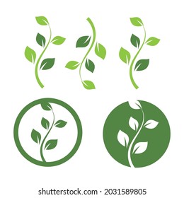 Logos of green Tree leaf ecology nature element vector