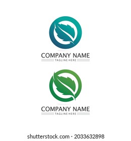 Logos of green Tree leaf ecology nature element vector logo design and icon