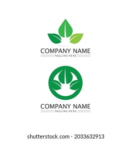 Logotipos de ecología de hoja de árbol verde elemento de naturaleza diseño del logotipo vectorial e icono