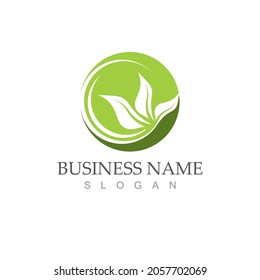 Logos of green Tree leaf ecology nature element vector