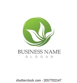Logos of green Tree leaf ecology nature element vector