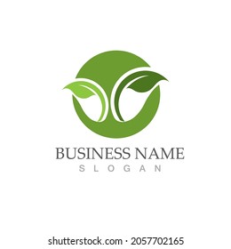 Logos of green Tree leaf ecology nature element vector