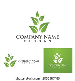 Logos of green Tree leaf ecology nature element vector