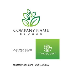 Logos of green Tree leaf ecology nature element vector